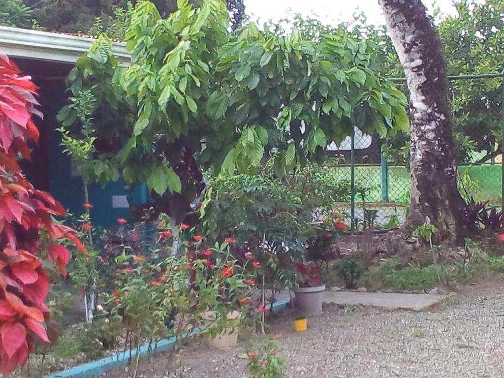 Cabinas Surf Side Cahuita Exterior photo